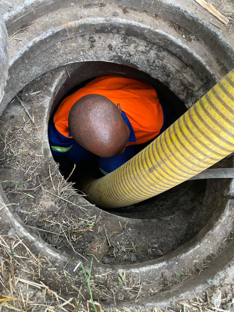 Honey Sucking Honey Sucking